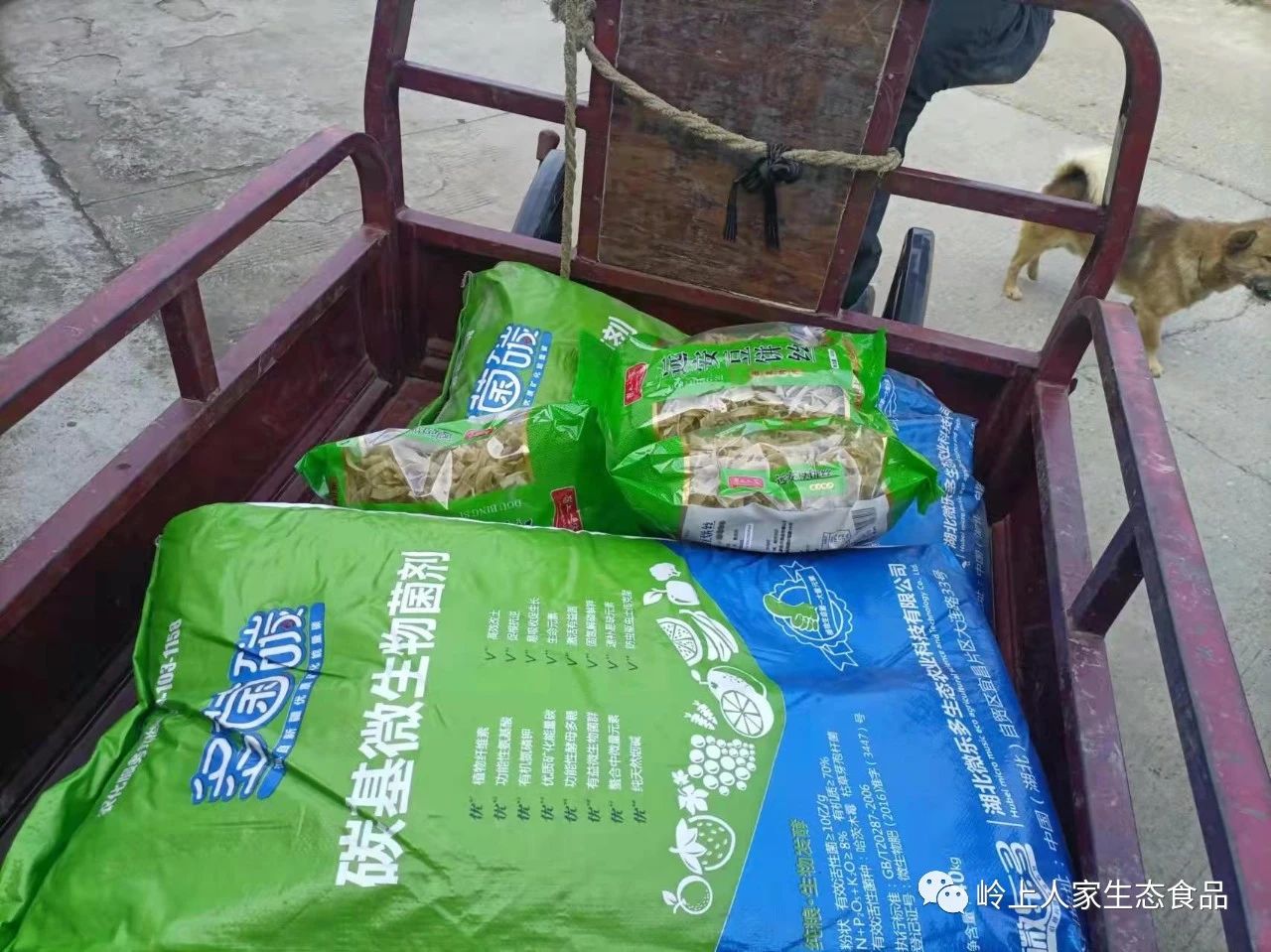 幫帶扶貧送化肥 愛心農資暖人心